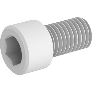 Nylon Plastic Socket Head Screw M12 x 1.75 mm Thread size, 20 mm Long图2
